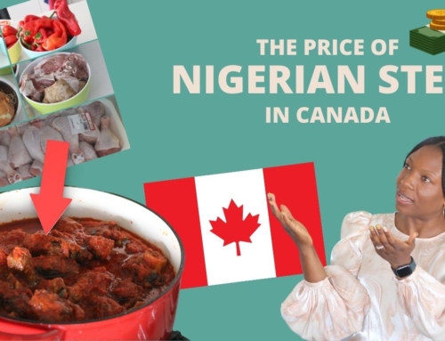 The Price of Nigerian Stew in Canada