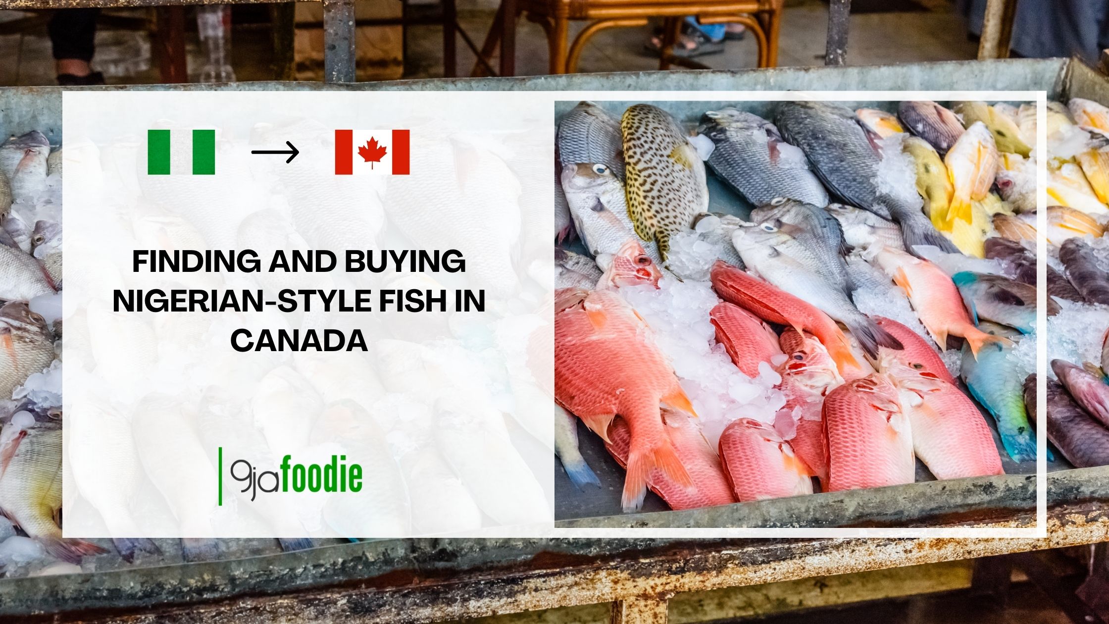Buying Nigerian-style fish in Canada